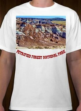 Petrified Forest National Park 3