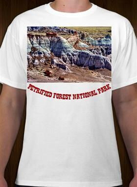 Petrified Forest National Park 4