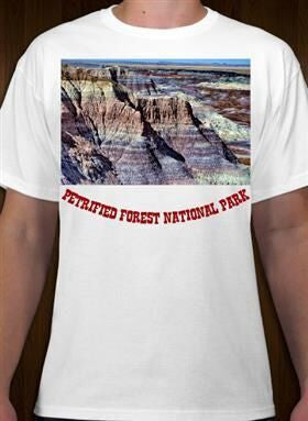 Petrified Forest National Park 5