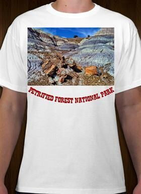 Petrified Forest National Park 9