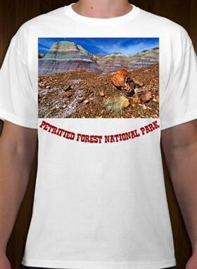 Petrified Forest National Park 8