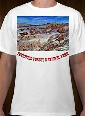 Petrified Forest National Park 31