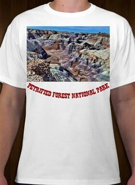 Petrified Forest National Park 7