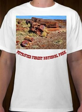 Petrified Forest National Park 20