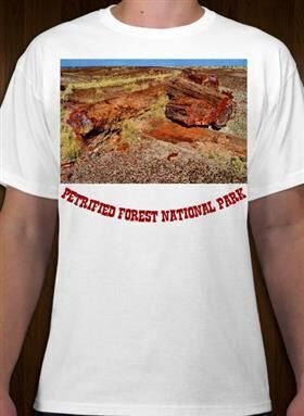 Petrified Forest National Park 22