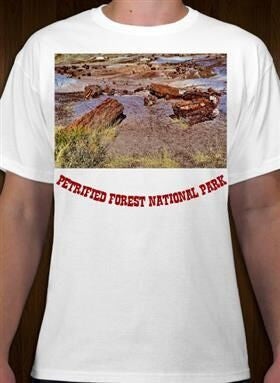 Petrified Forest National Park 17