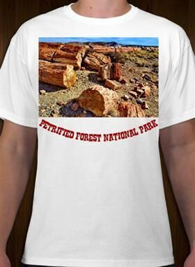 Petrified Forest National Park 30