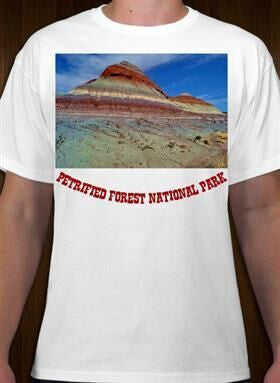 Petrified Forest National Park 2