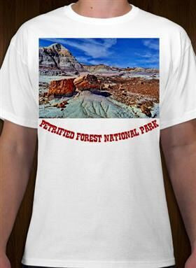 Petrified Forest National Park 12