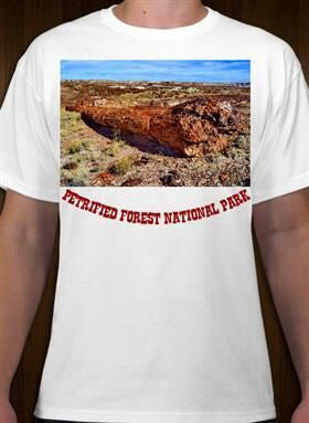 Petrified Forest National Park 29