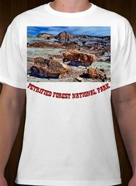 Petrified Forest National Park 11