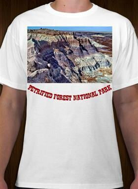 Petrified Forest National Park 6