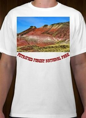 Petrified Forest National Park 35