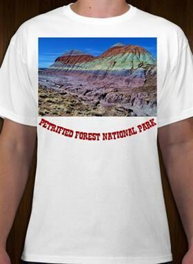 Petrified Forest National Park